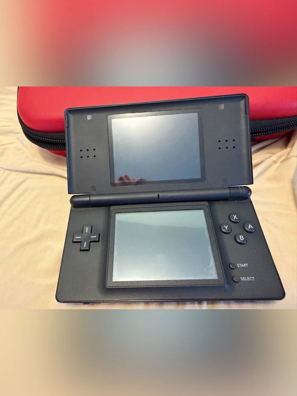Nintendo DS Bundle